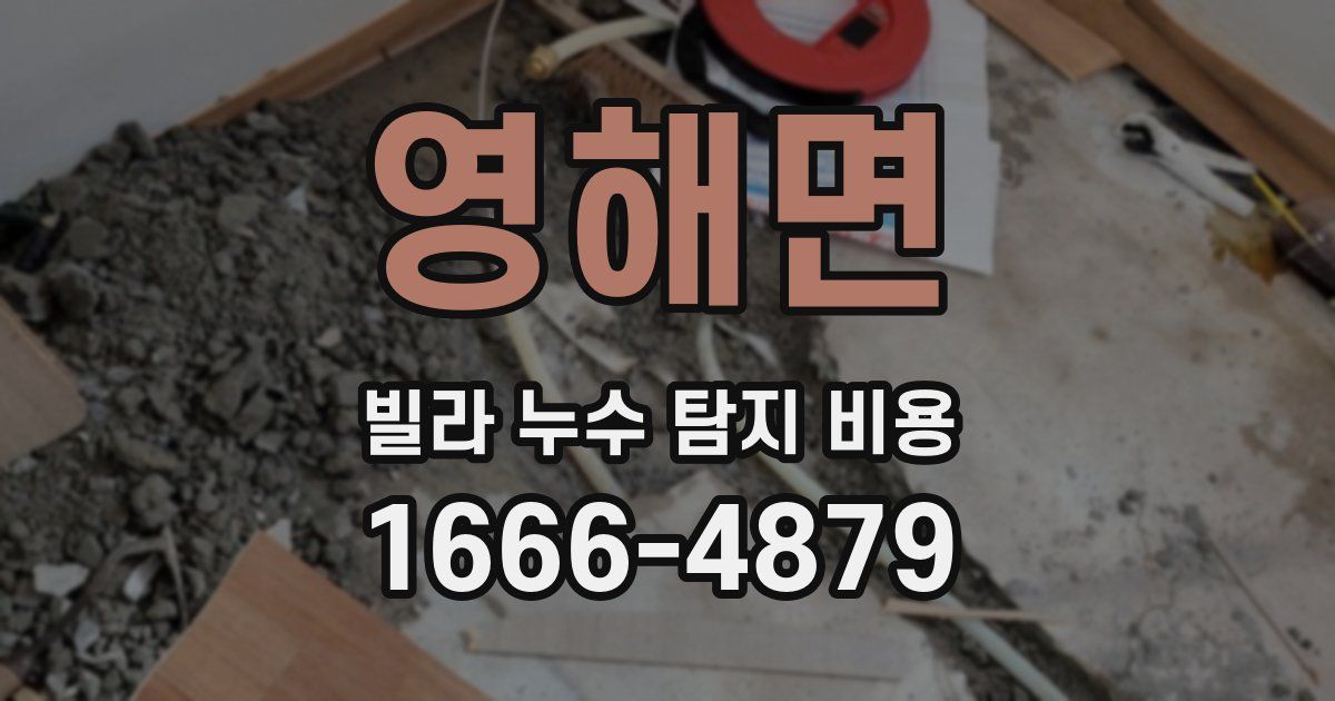영해면 빌라 누수 탐지 비용