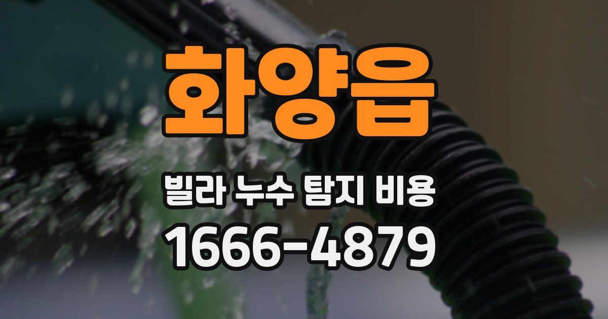 화양읍 빌라 누수 탐지 비용
