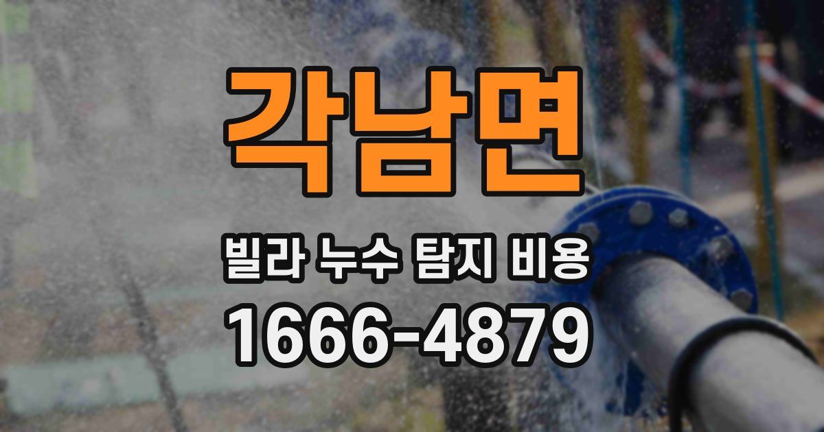 각남면 빌라 누수 탐지 비용