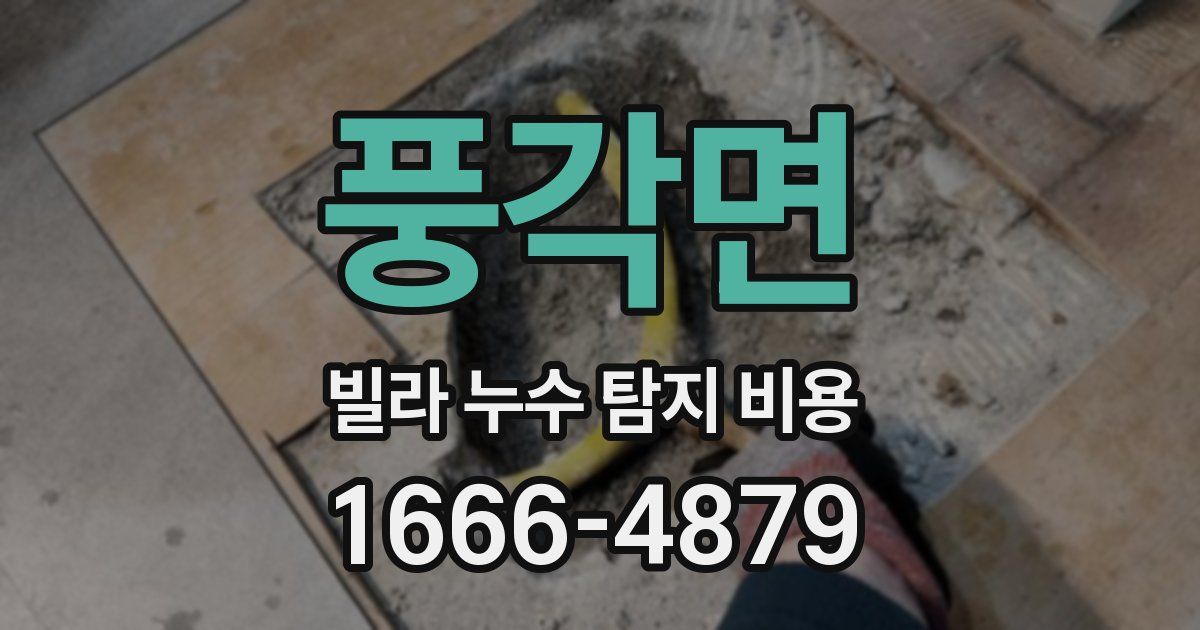 풍각면 빌라 누수 탐지 비용