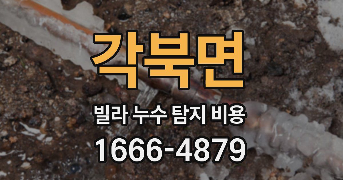 각북면 빌라 누수 탐지 비용