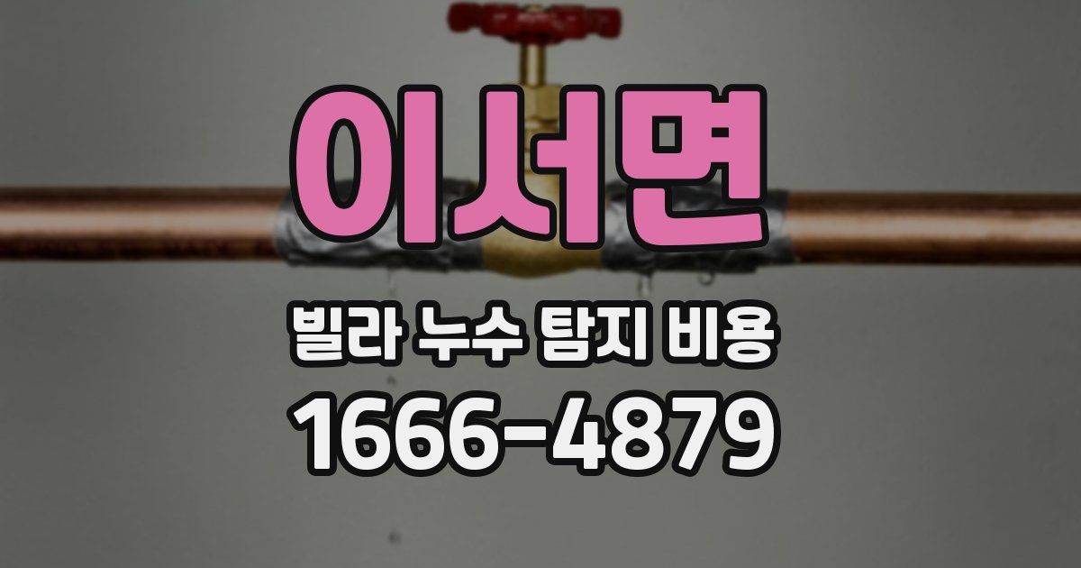 이서면 빌라 누수 탐지 비용