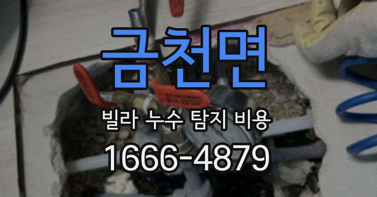 금천면 빌라 누수 탐지 비용