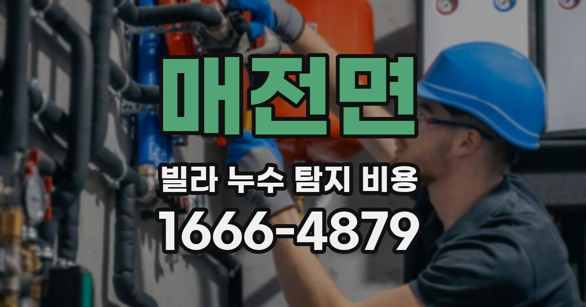 매전면 빌라 누수 탐지 비용