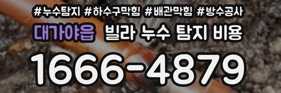 대가야읍 빌라 누수 탐지 비용