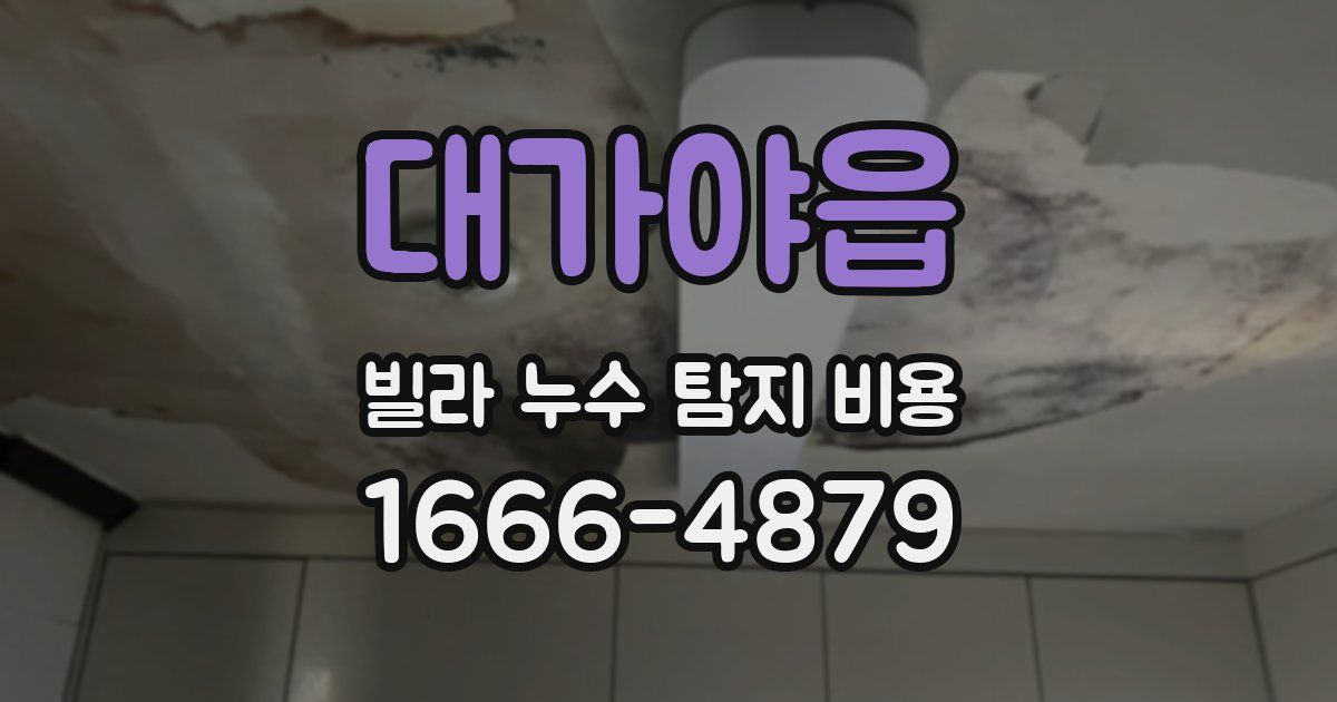 대가야읍 빌라 누수 탐지 비용