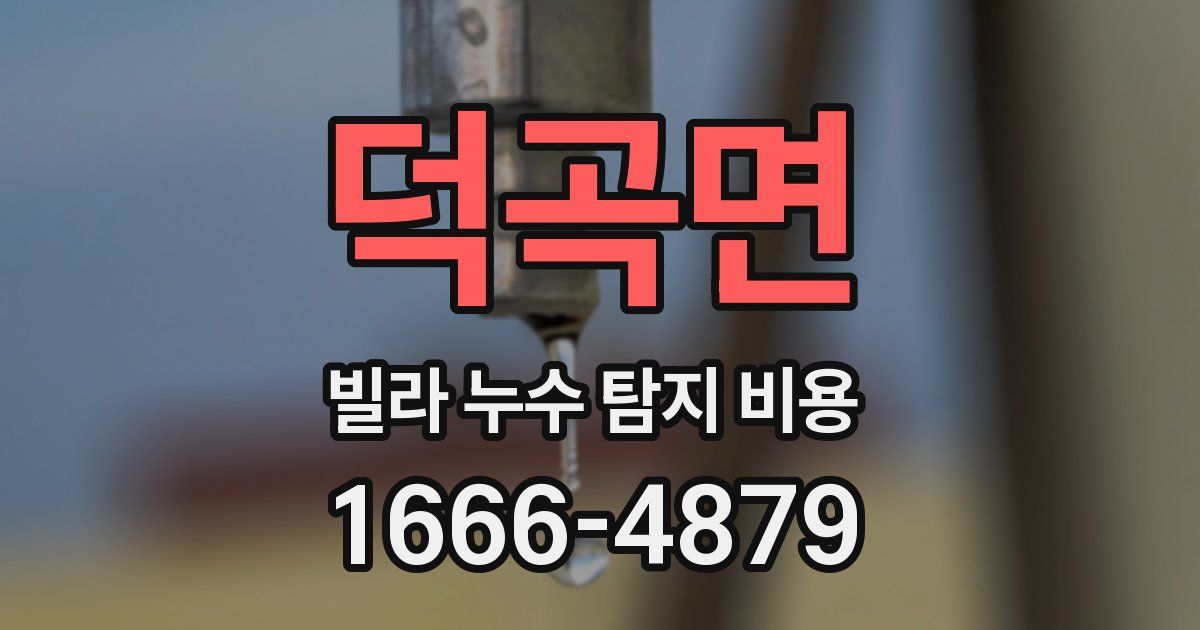 덕곡면 빌라 누수 탐지 비용