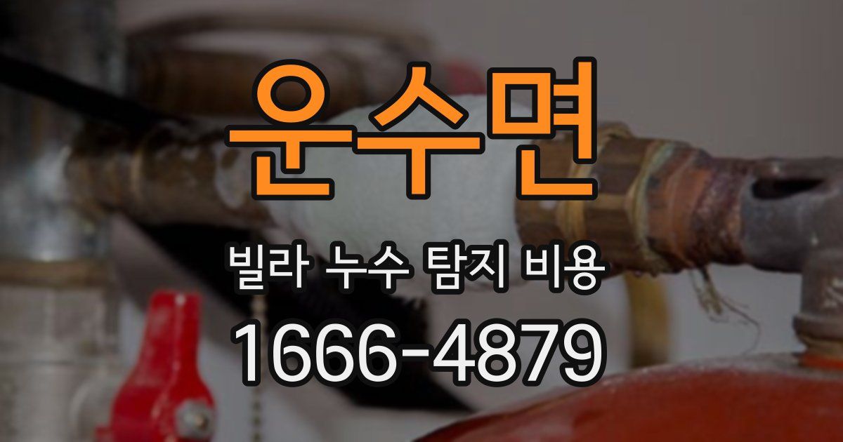 운수면 빌라 누수 탐지 비용