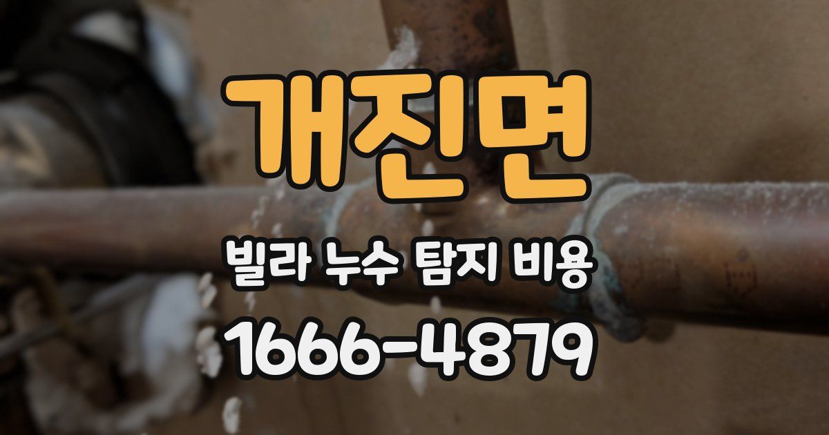 개진면 빌라 누수 탐지 비용