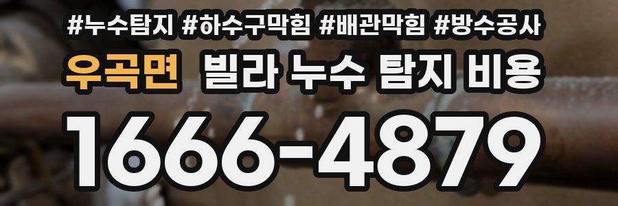 우곡면 빌라 누수 탐지 비용