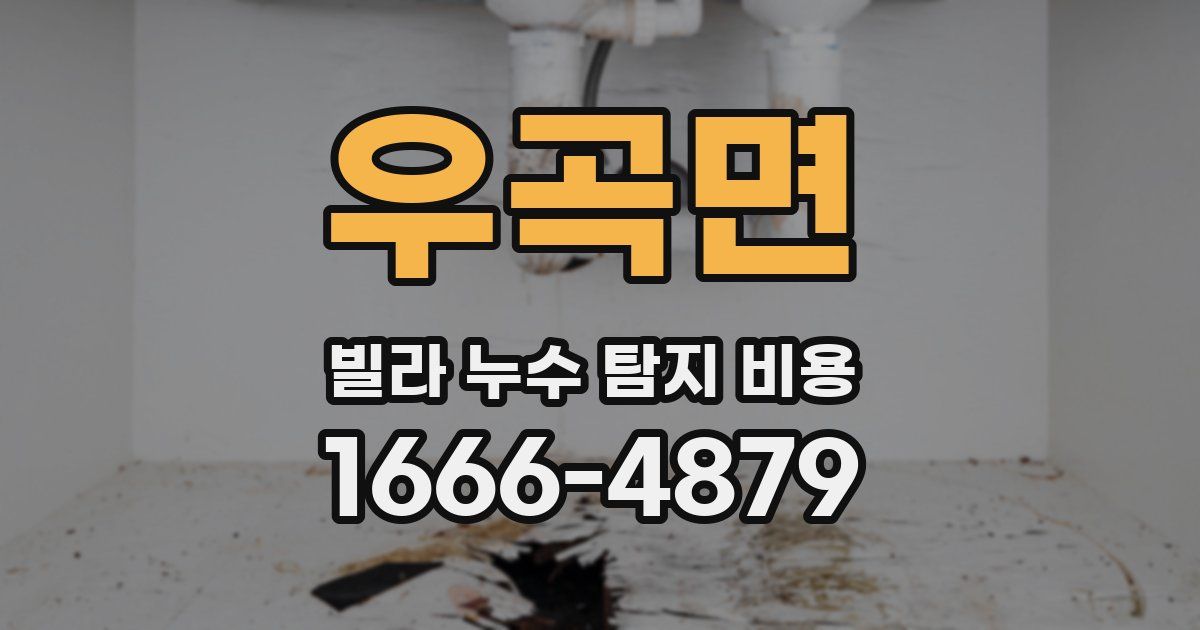 우곡면 빌라 누수 탐지 비용