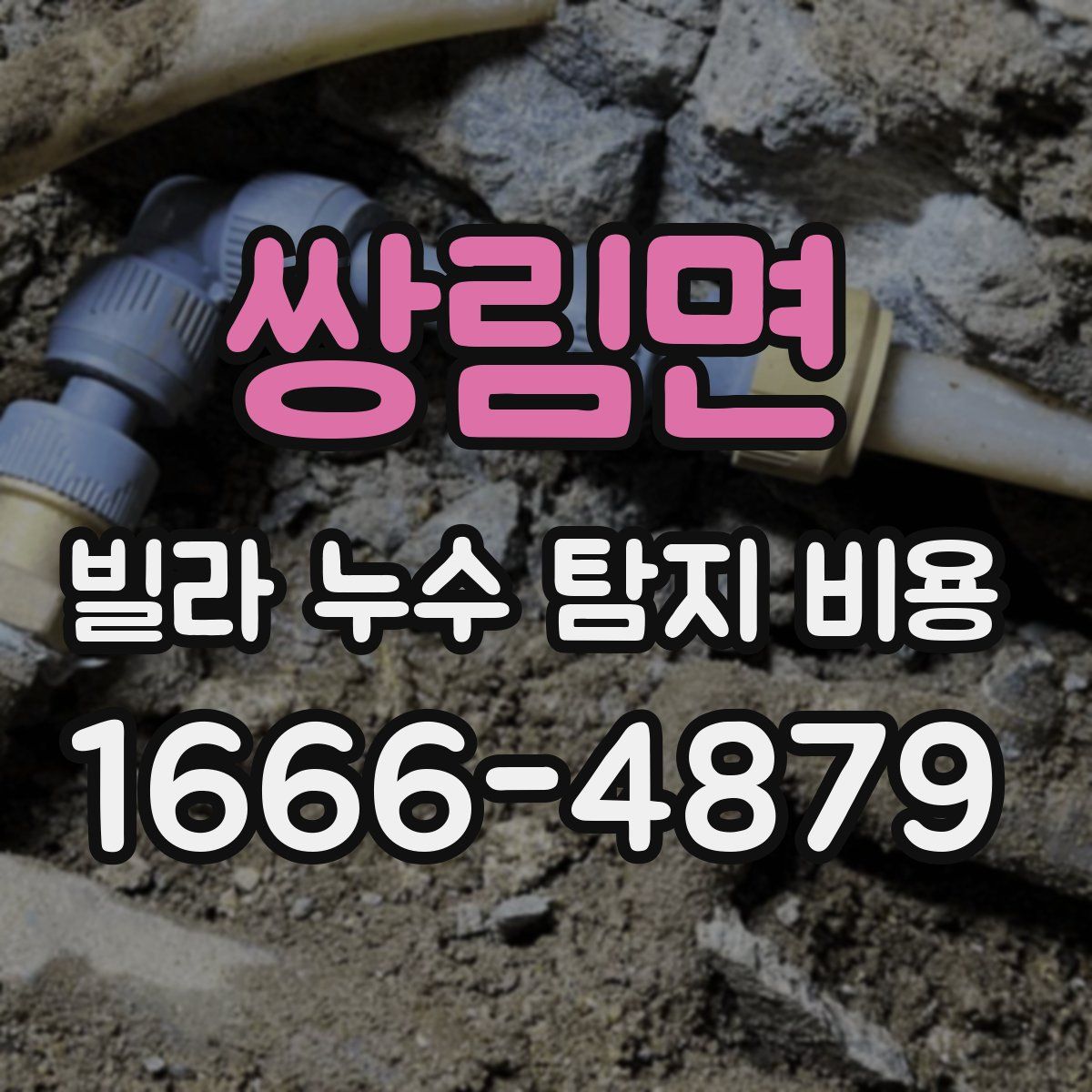 쌍림면 빌라 누수 탐지 비용