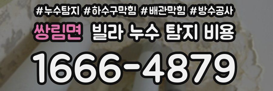 쌍림면 빌라 누수 탐지 비용