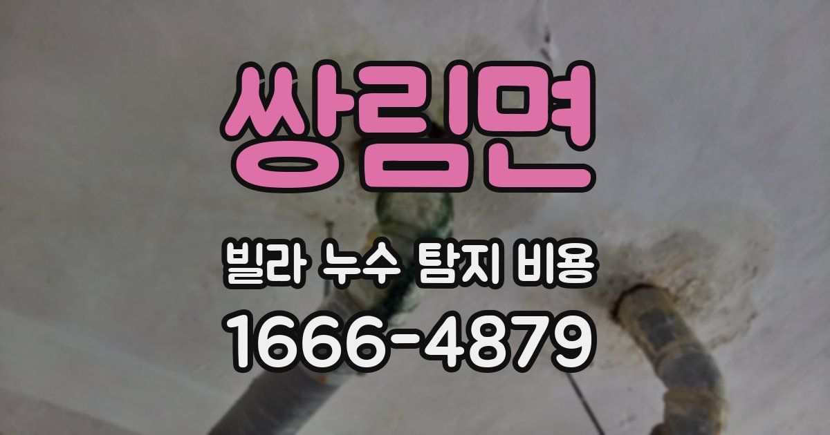 쌍림면 빌라 누수 탐지 비용