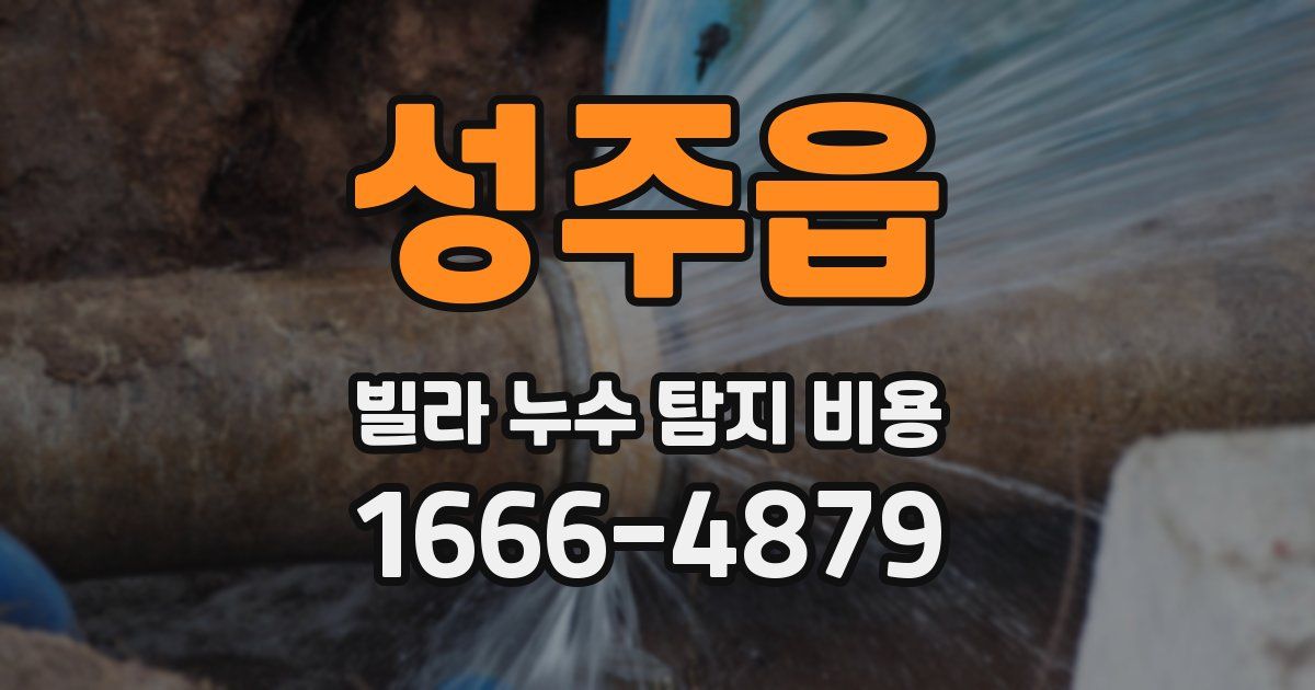 성주읍 빌라 누수 탐지 비용