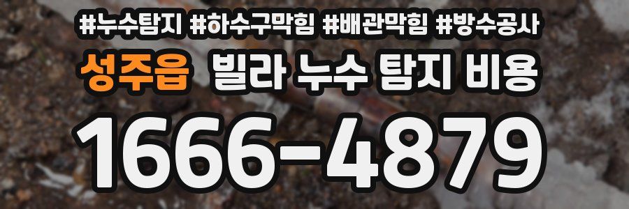 성주읍 빌라 누수 탐지 비용