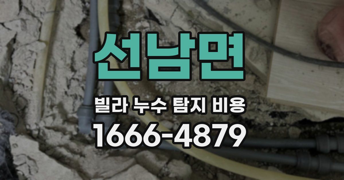 선남면 빌라 누수 탐지 비용