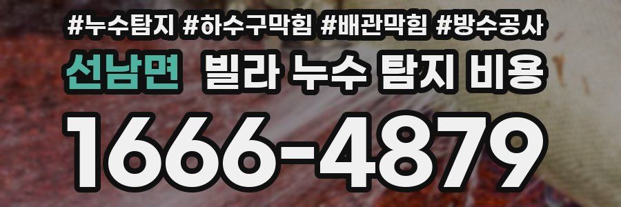 선남면 빌라 누수 탐지 비용