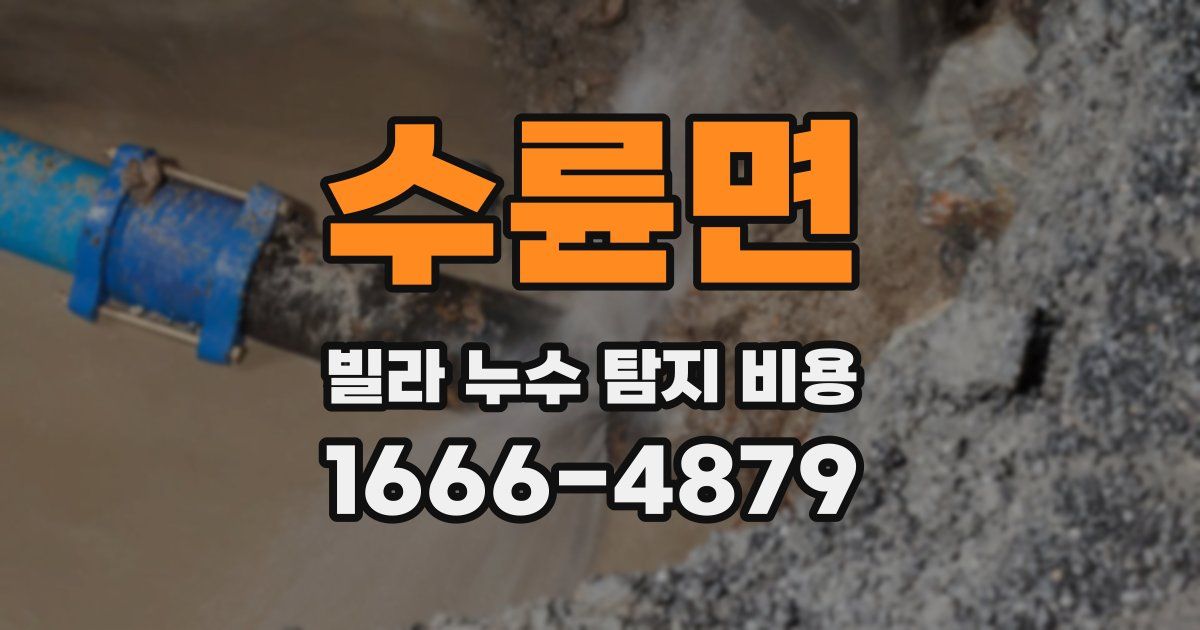 수륜면 빌라 누수 탐지 비용