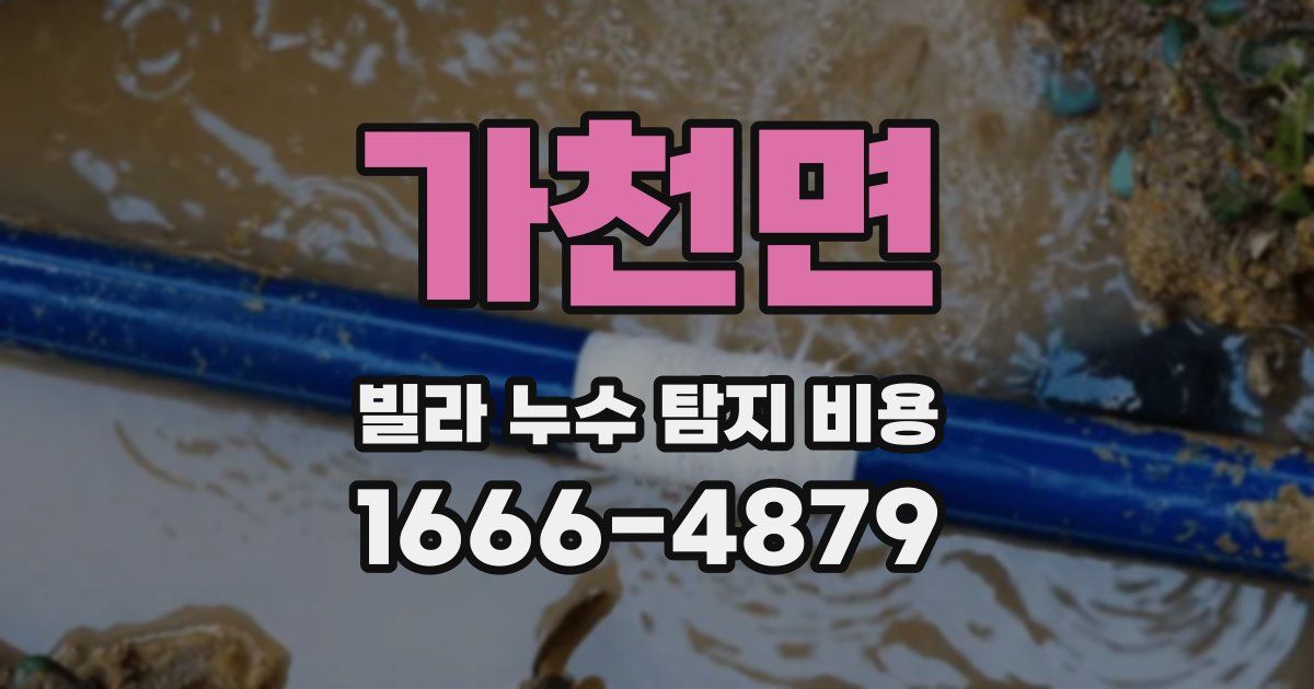 가천면 빌라 누수 탐지 비용