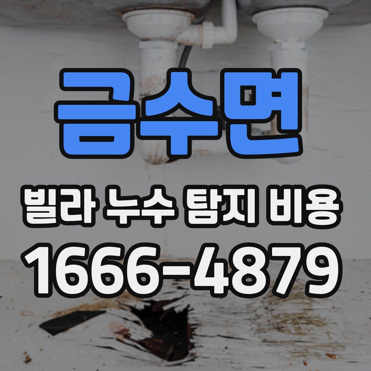 금수면 빌라 누수 탐지 비용