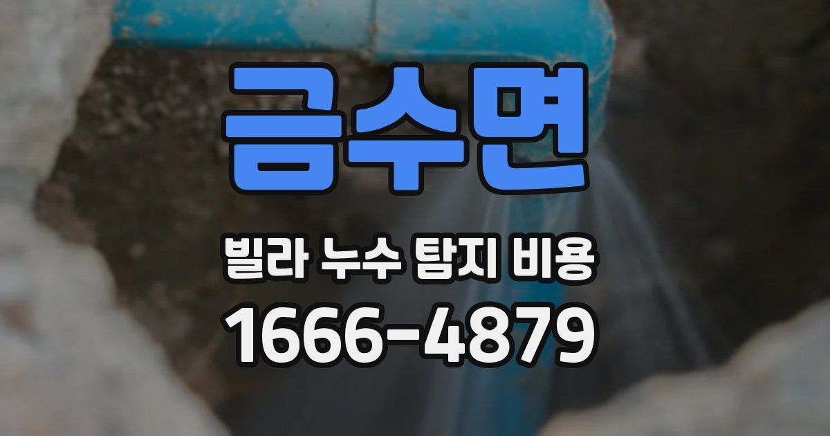 금수면 빌라 누수 탐지 비용