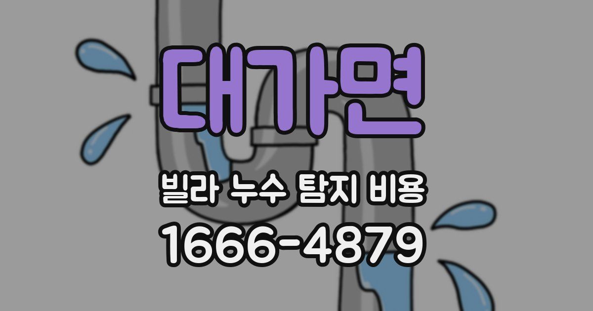대가면 빌라 누수 탐지 비용