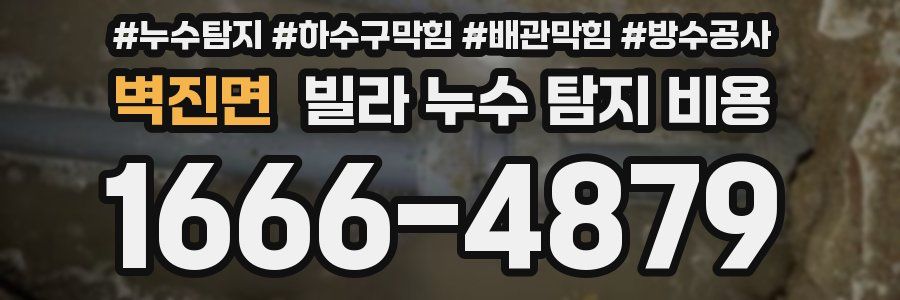 벽진면 빌라 누수 탐지 비용