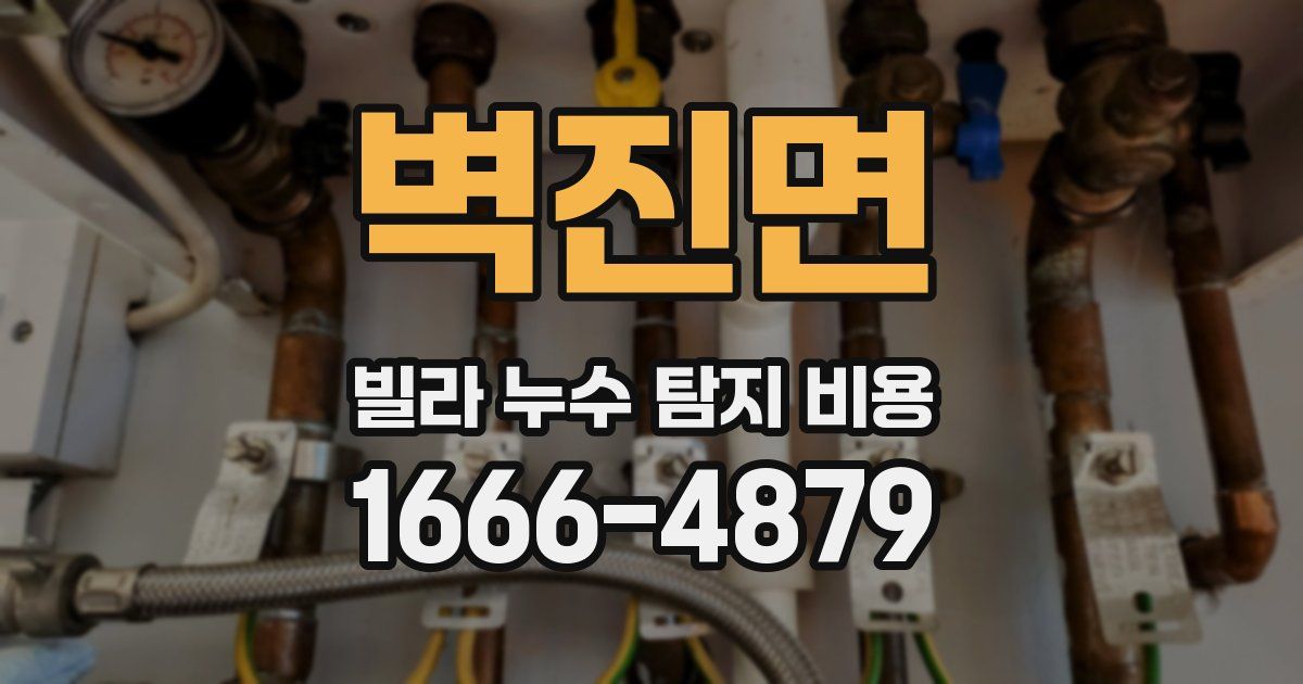 벽진면 빌라 누수 탐지 비용