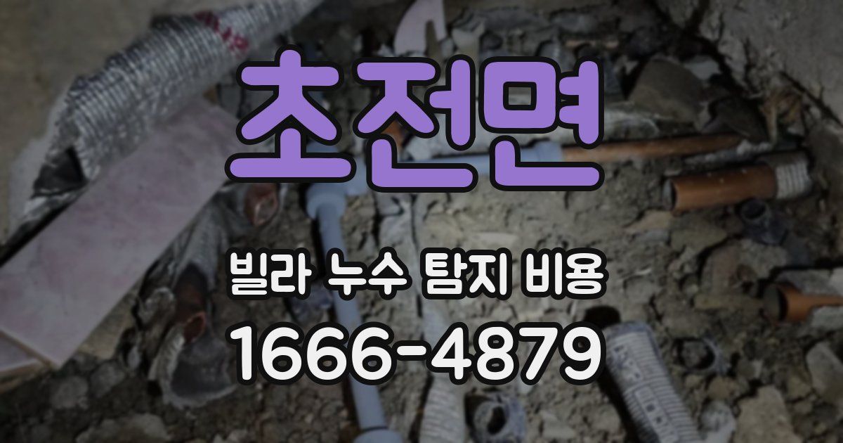 초전면 빌라 누수 탐지 비용