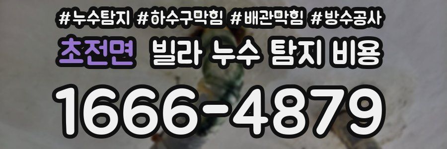 초전면 빌라 누수 탐지 비용