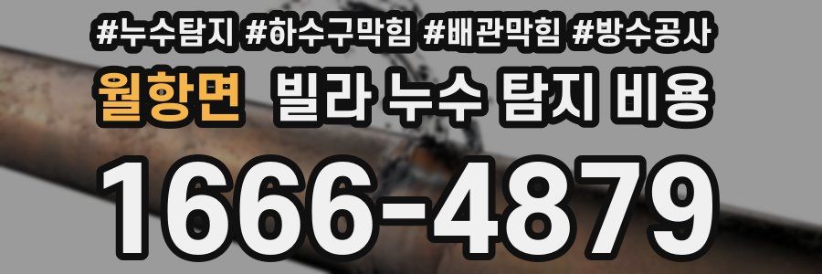 월항면 빌라 누수 탐지 비용