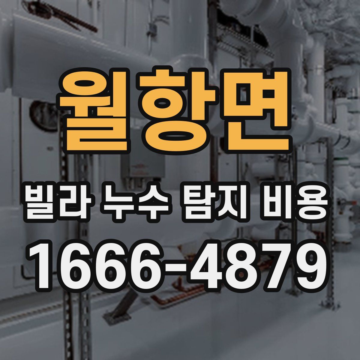 월항면 빌라 누수 탐지 비용
