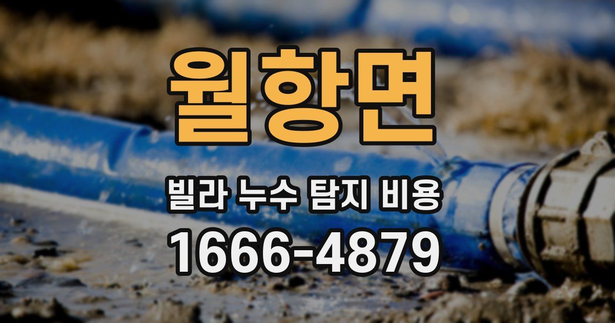 월항면 빌라 누수 탐지 비용