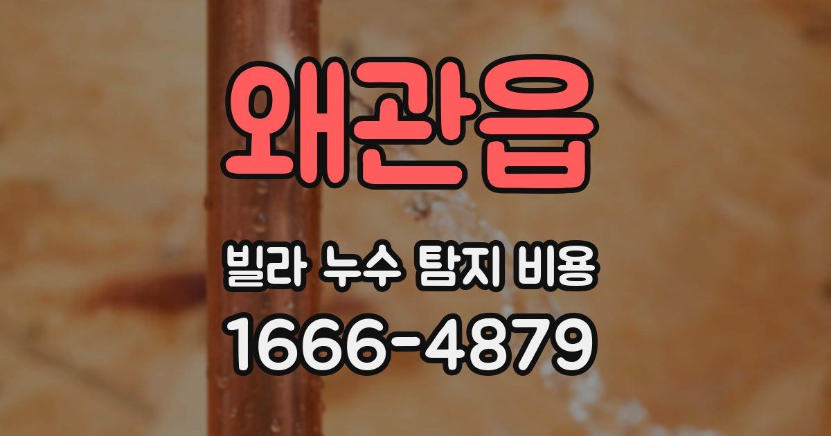왜관읍 빌라 누수 탐지 비용