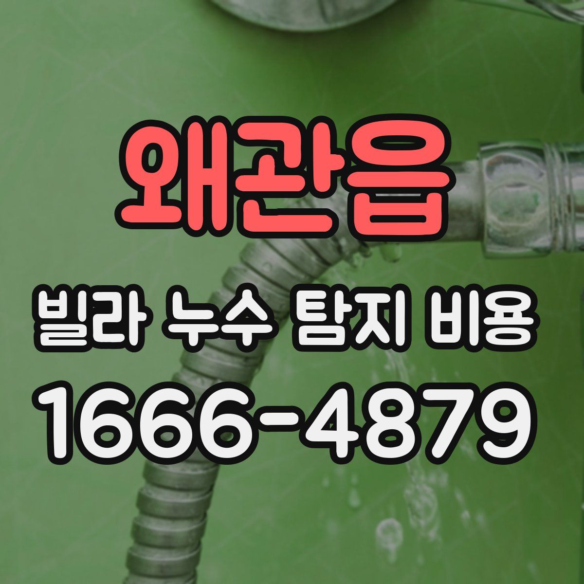 왜관읍 빌라 누수 탐지 비용
