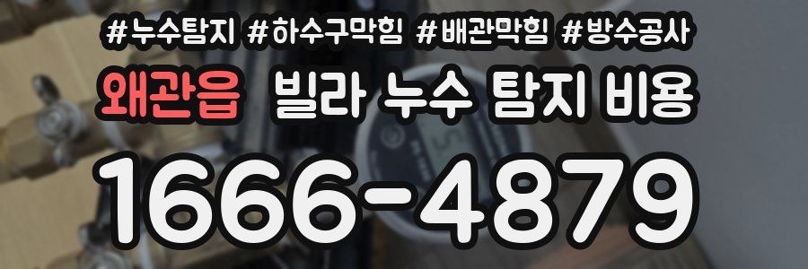 왜관읍 빌라 누수 탐지 비용