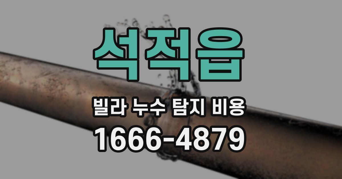 석적읍 빌라 누수 탐지 비용