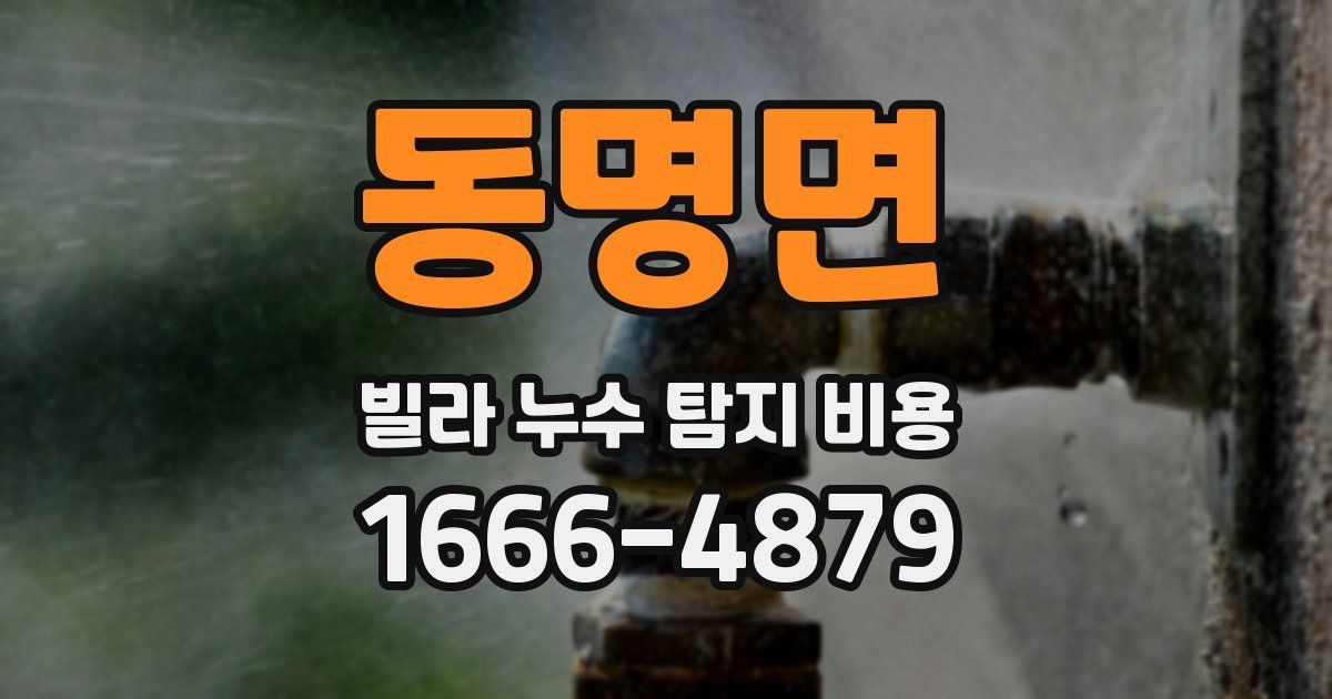동명면 빌라 누수 탐지 비용