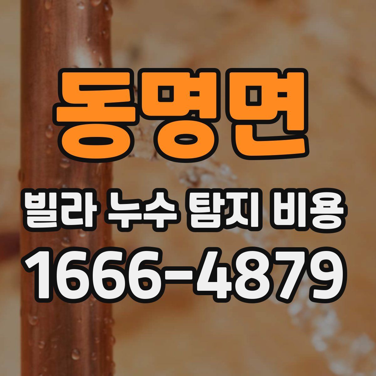 동명면 빌라 누수 탐지 비용