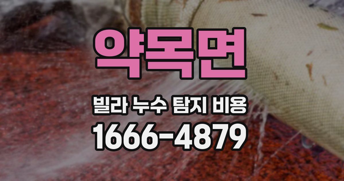 약목면 빌라 누수 탐지 비용