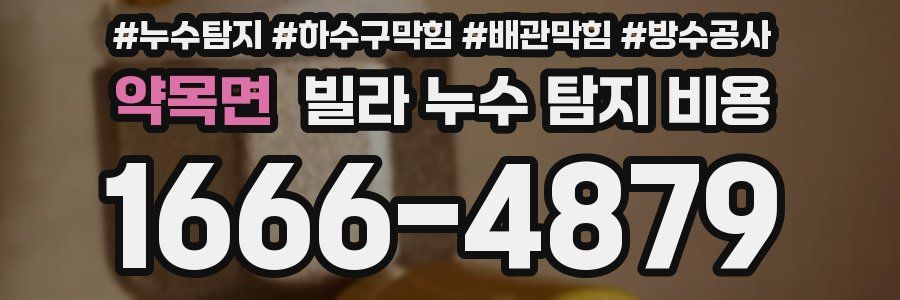 약목면 빌라 누수 탐지 비용