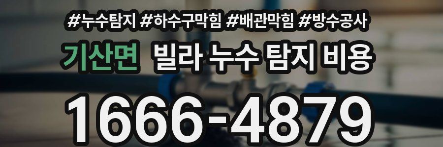 기산면 빌라 누수 탐지 비용