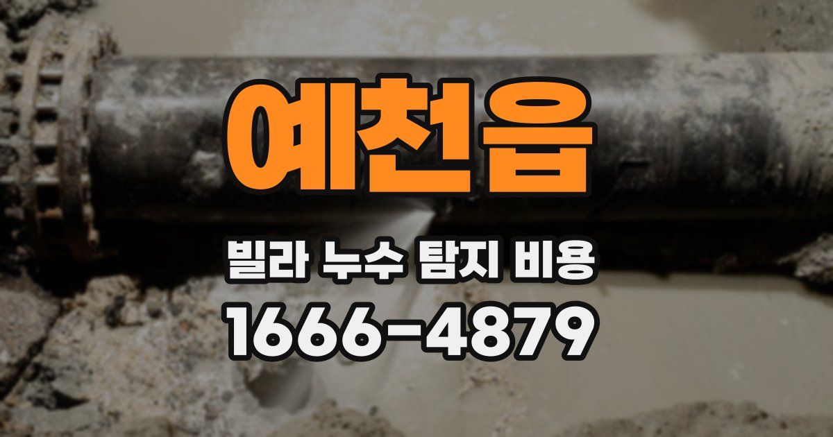 예천읍 빌라 누수 탐지 비용