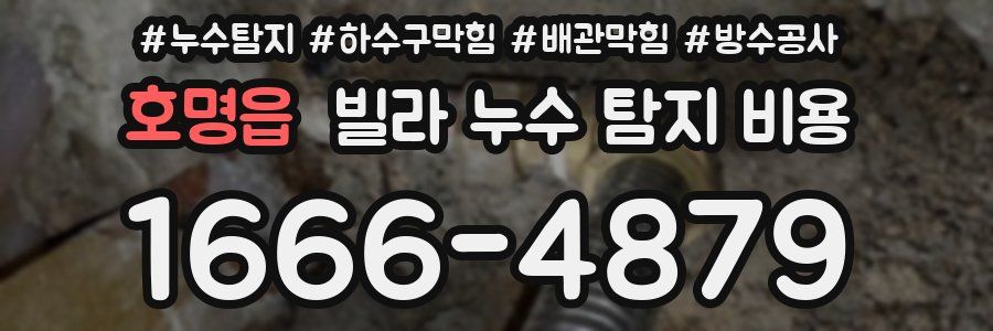 호명읍 빌라 누수 탐지 비용