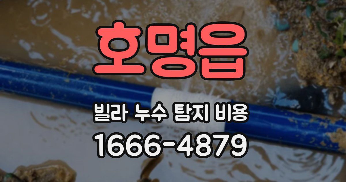 호명읍 빌라 누수 탐지 비용