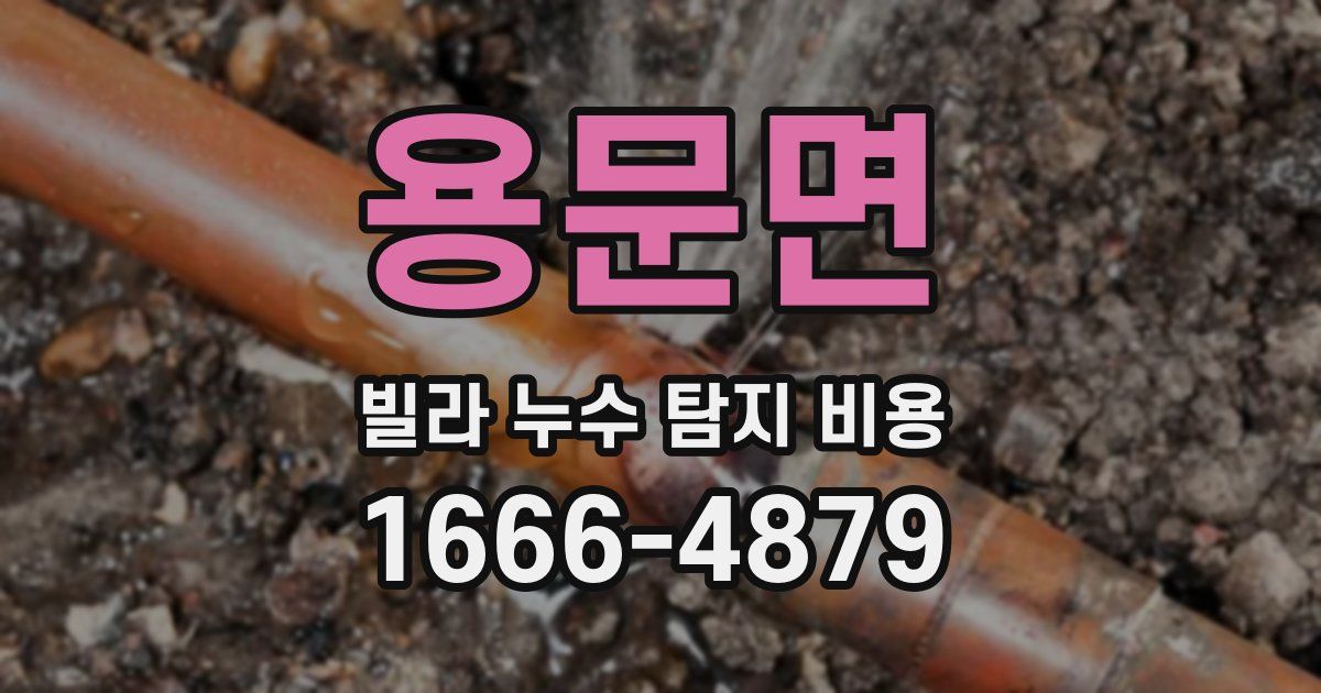 용문면 빌라 누수 탐지 비용
