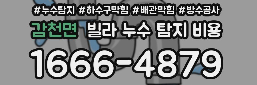감천면 빌라 누수 탐지 비용