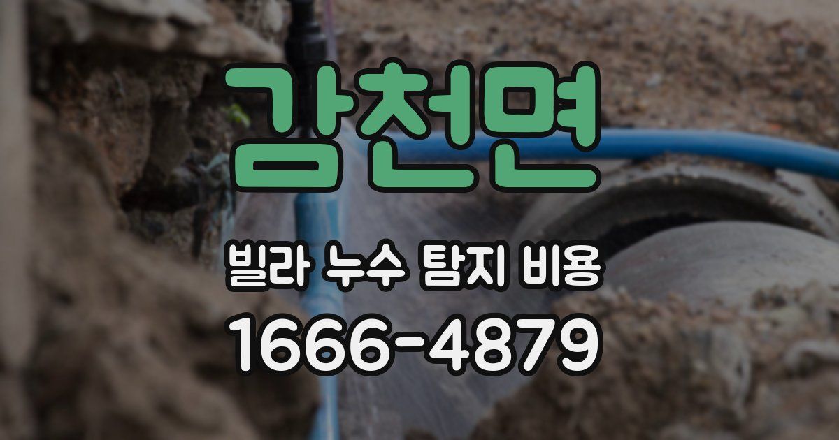 감천면 빌라 누수 탐지 비용