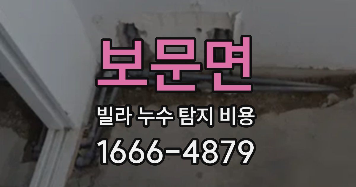 보문면 빌라 누수 탐지 비용
